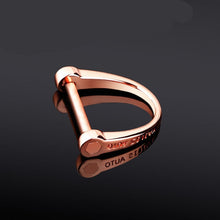 Load image into Gallery viewer, 1pcs Car Keychain Thick Rod Classic D Shape Horseshoe Key Holder Car Interior Accessories Key Ring Car-styling Decoration