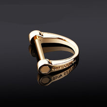 Load image into Gallery viewer, 1pcs Car Keychain Thick Rod Classic D Shape Horseshoe Key Holder Car Interior Accessories Key Ring Car-styling Decoration